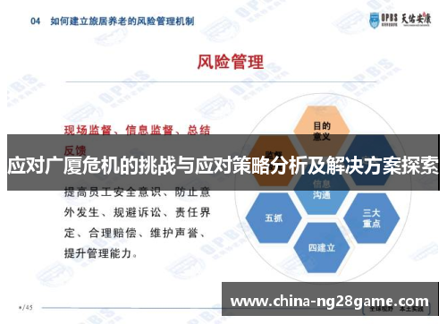 应对广厦危机的挑战与应对策略分析及解决方案探索